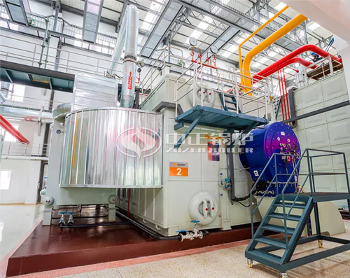 天津市58MW SZS系列環(huán)保燃?xì)鉄崴仩t項(xiàng)目（嘉海供熱站）